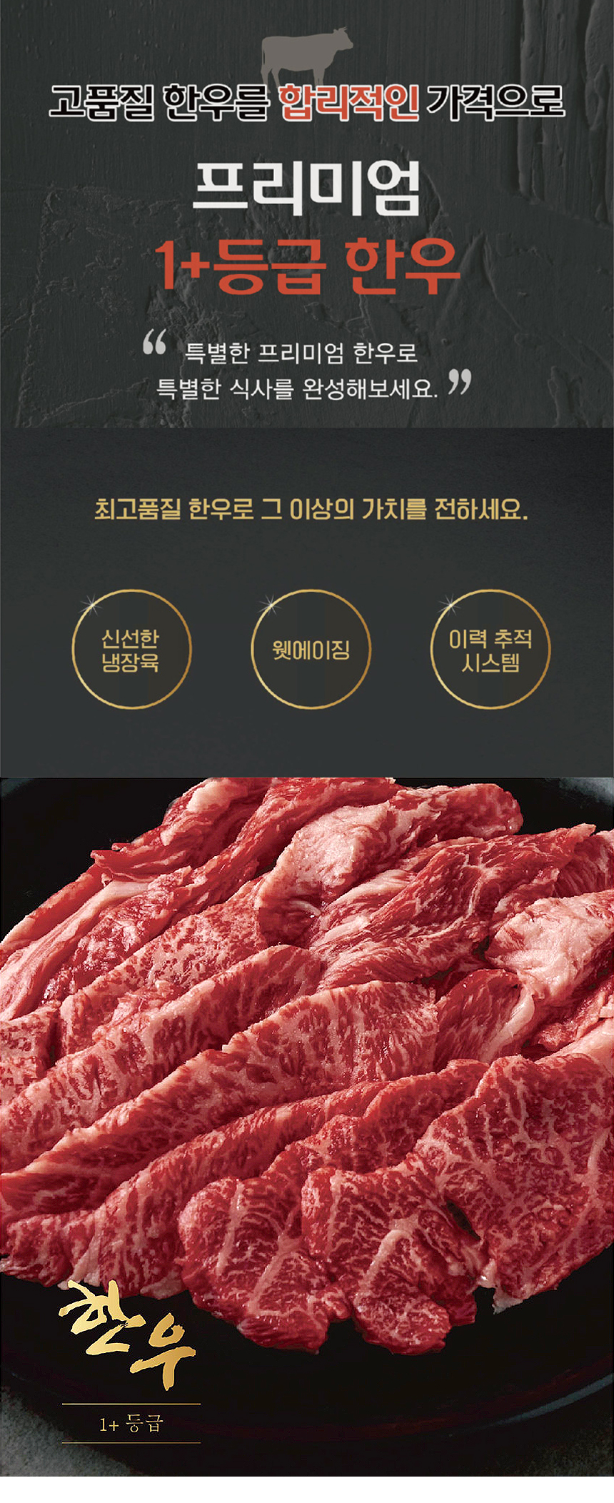 D_01.jpg