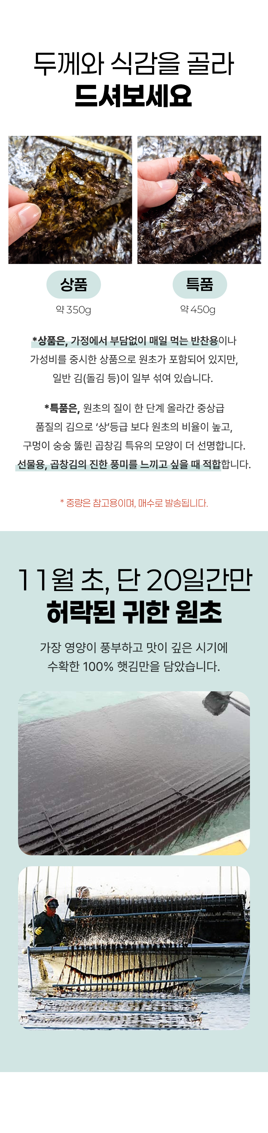 D_03.jpg