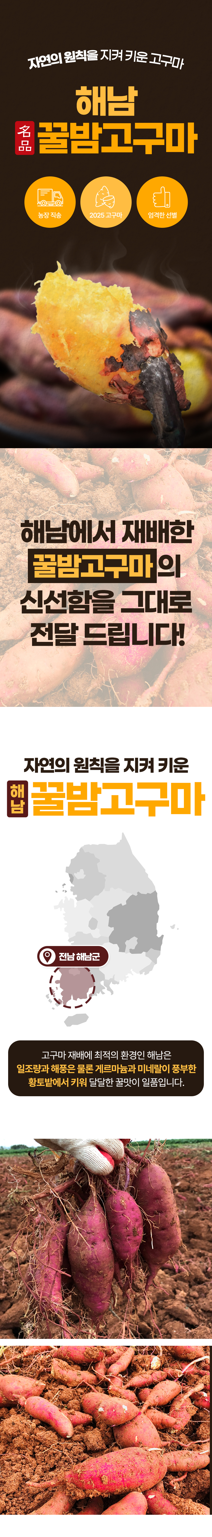 D_01.jpg