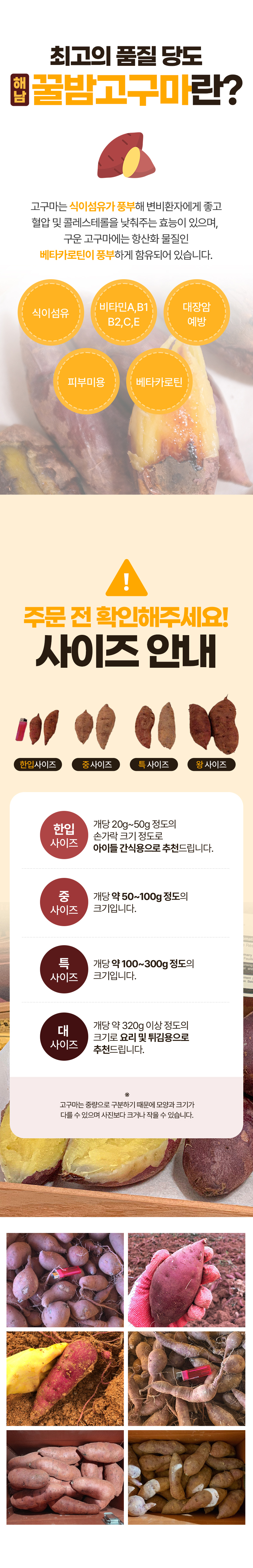 D_02.jpg