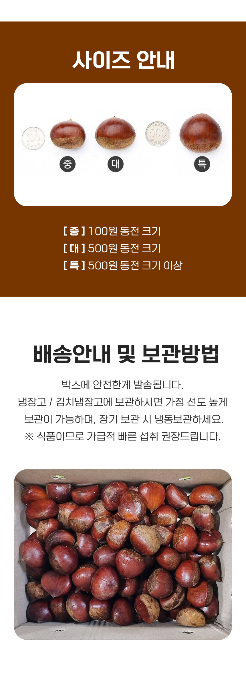 D_04.jpg