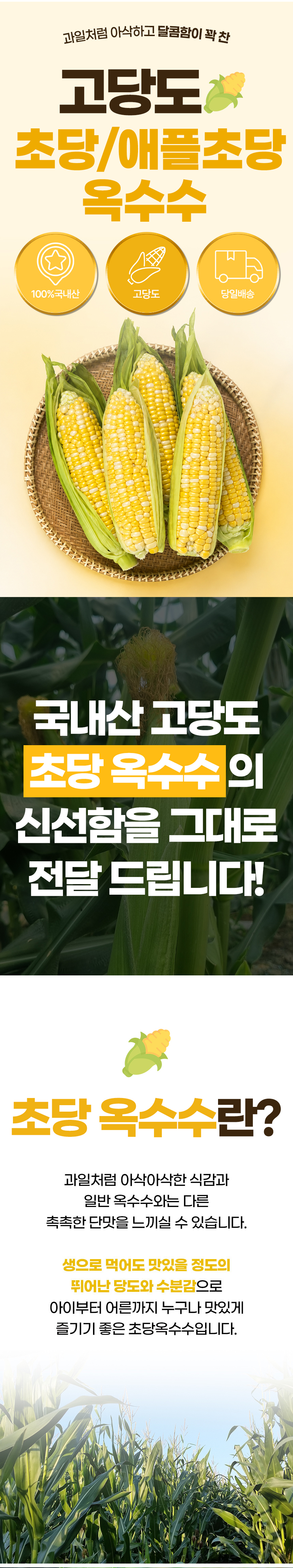 D_01.jpg