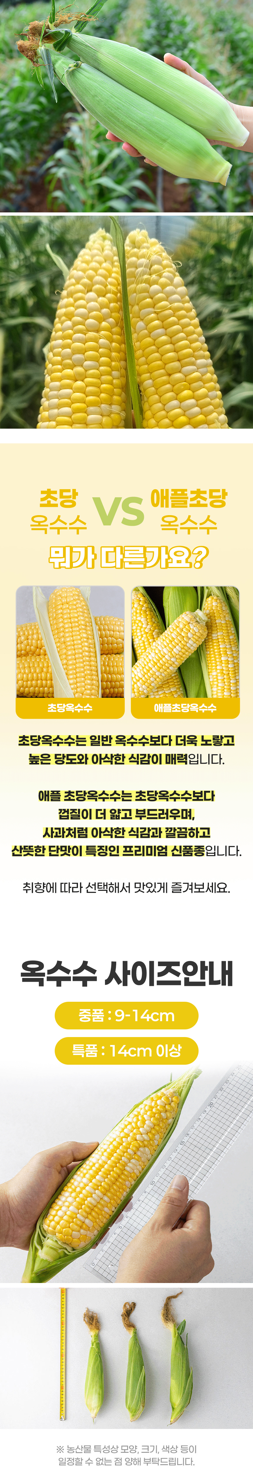 D_02.jpg