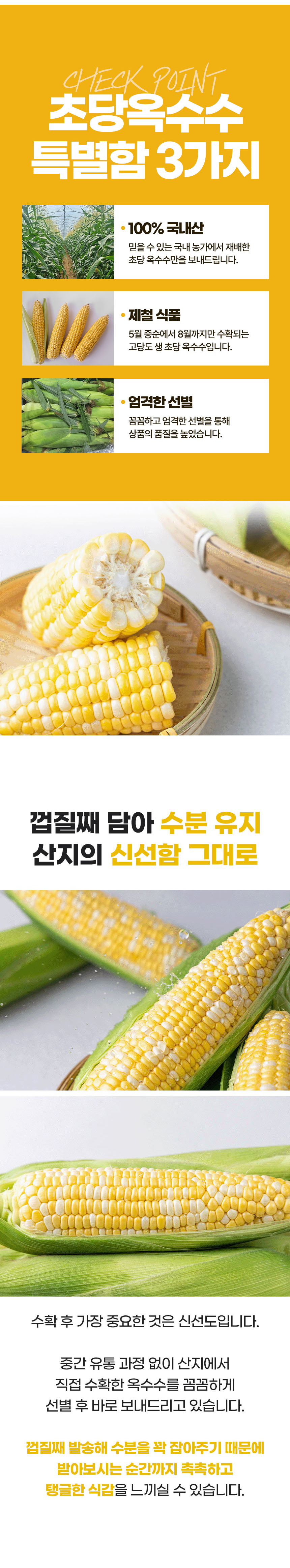 D_04.jpg