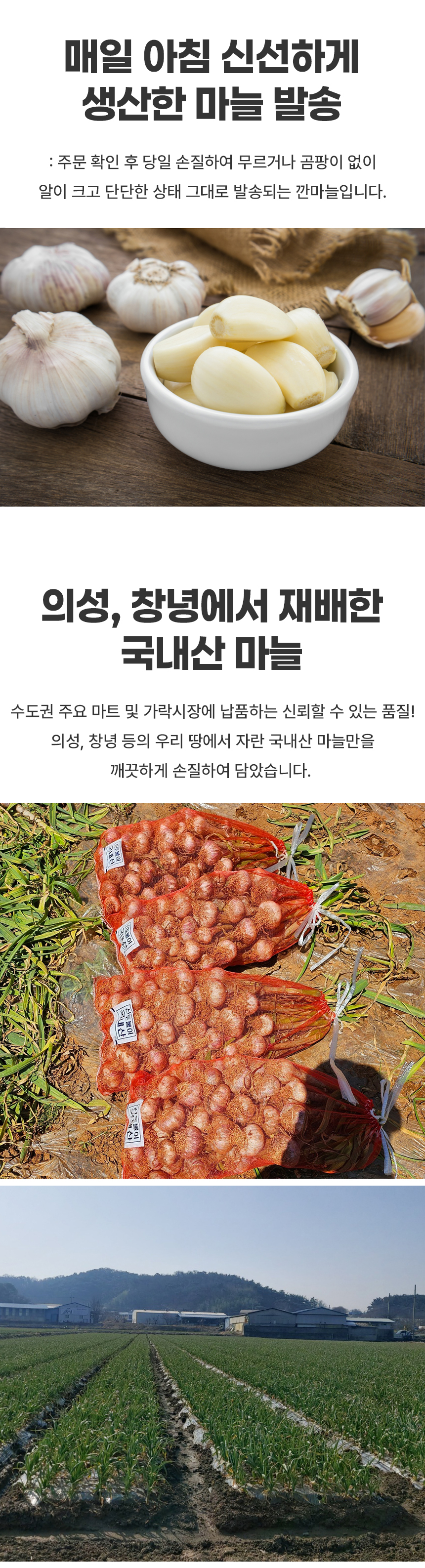 D_02.jpg