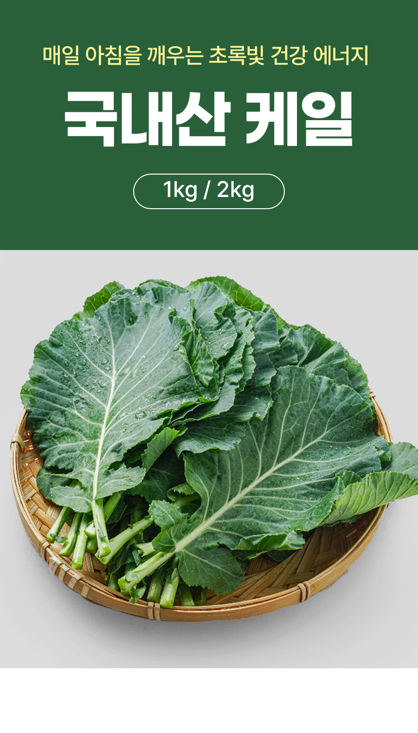 D_01.jpg