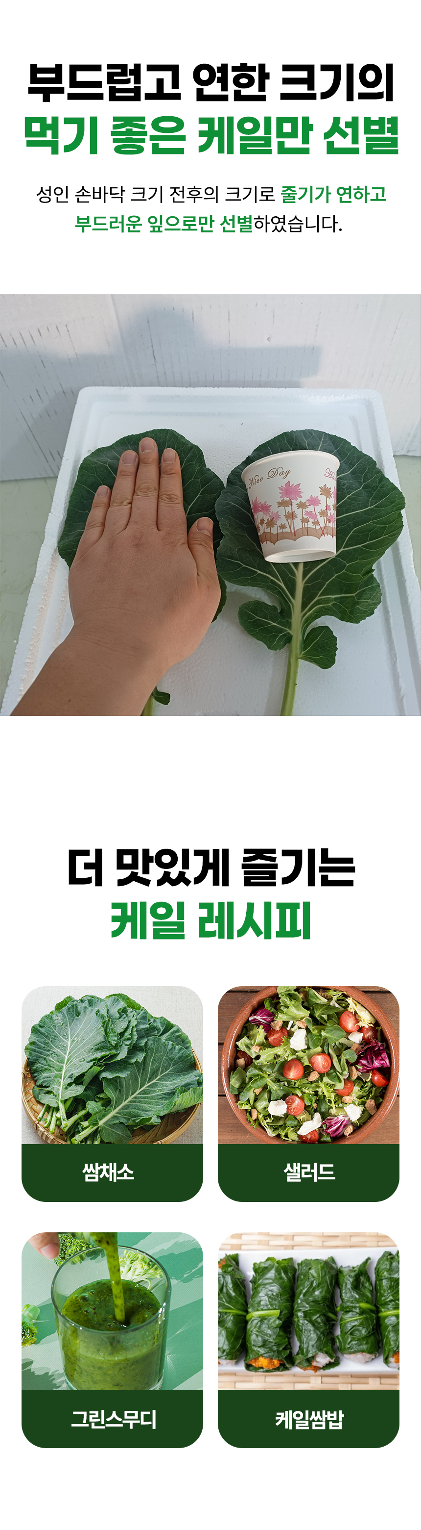 D_04.jpg