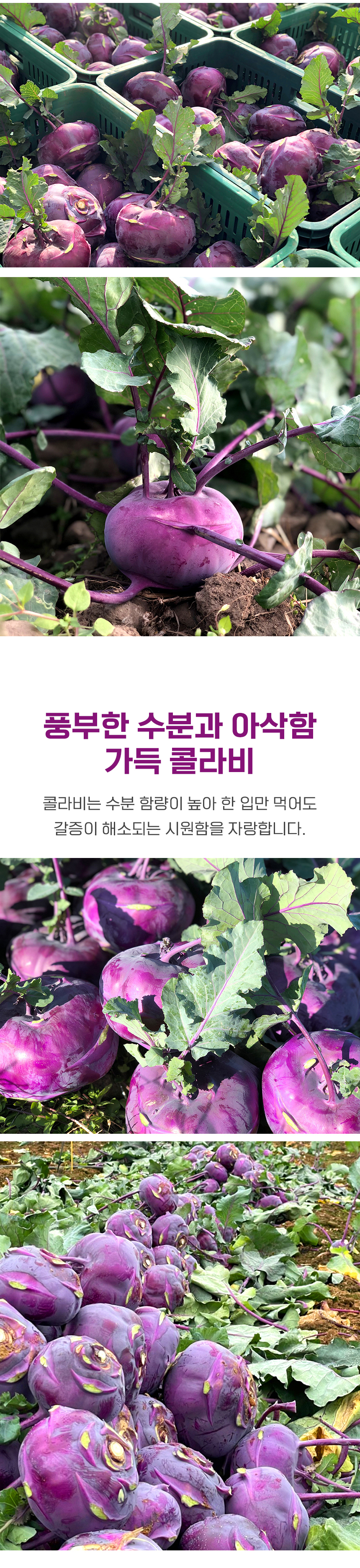 D_02.jpg