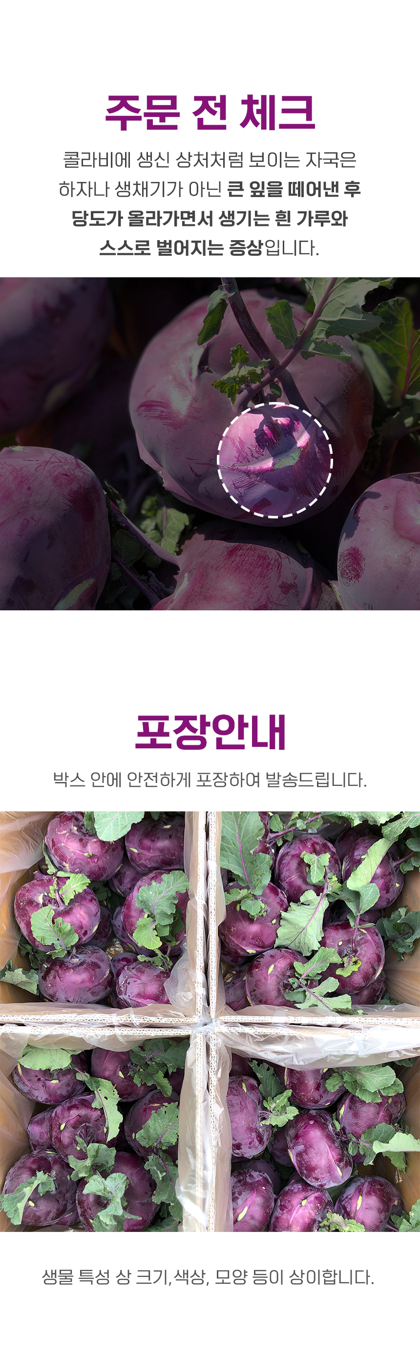 D_03.jpg