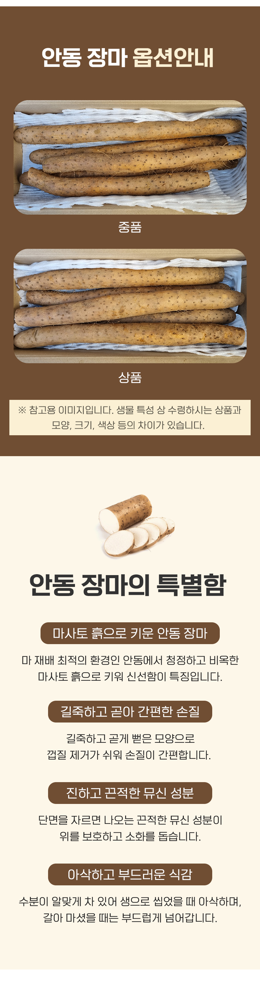 D_03.jpg