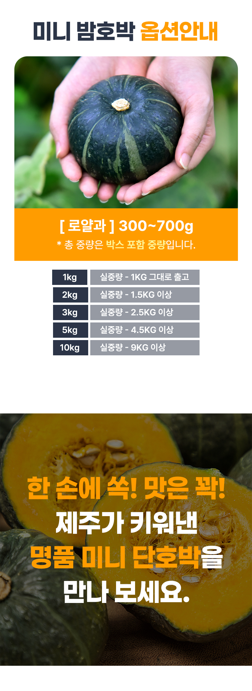 D_02.jpg