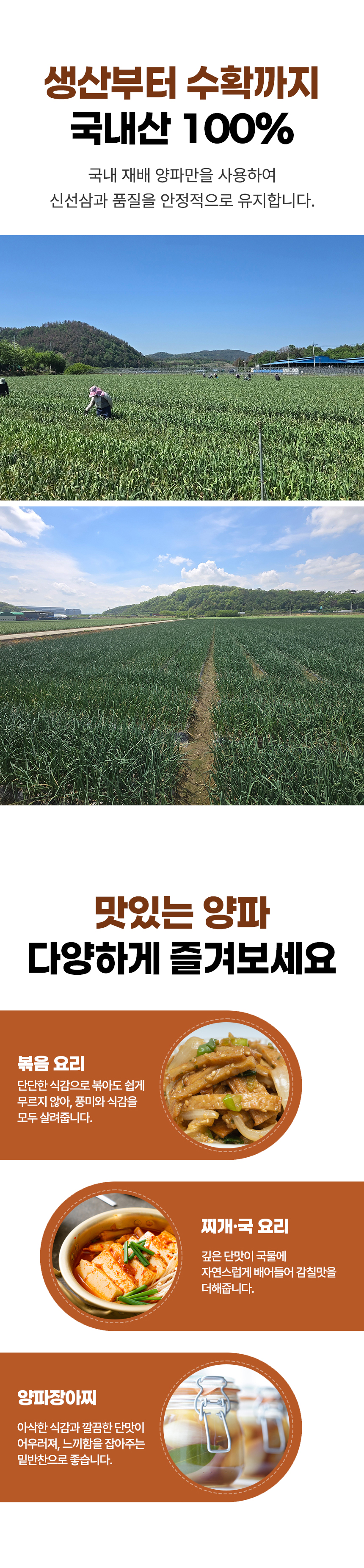 D_04.jpg