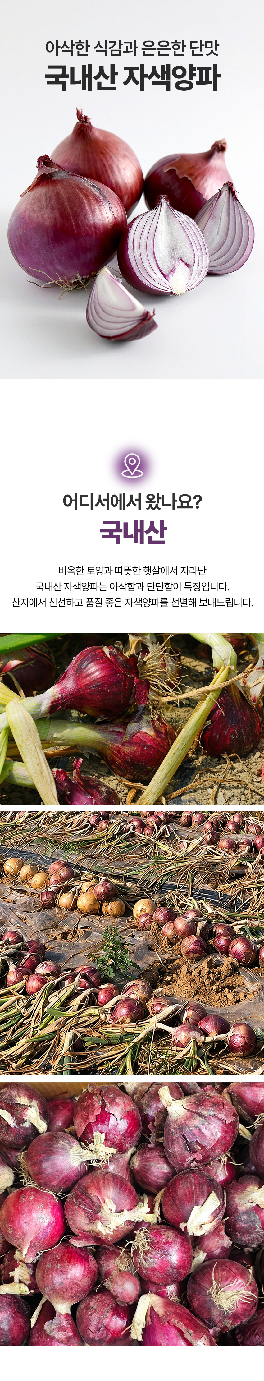 D_01.jpg
