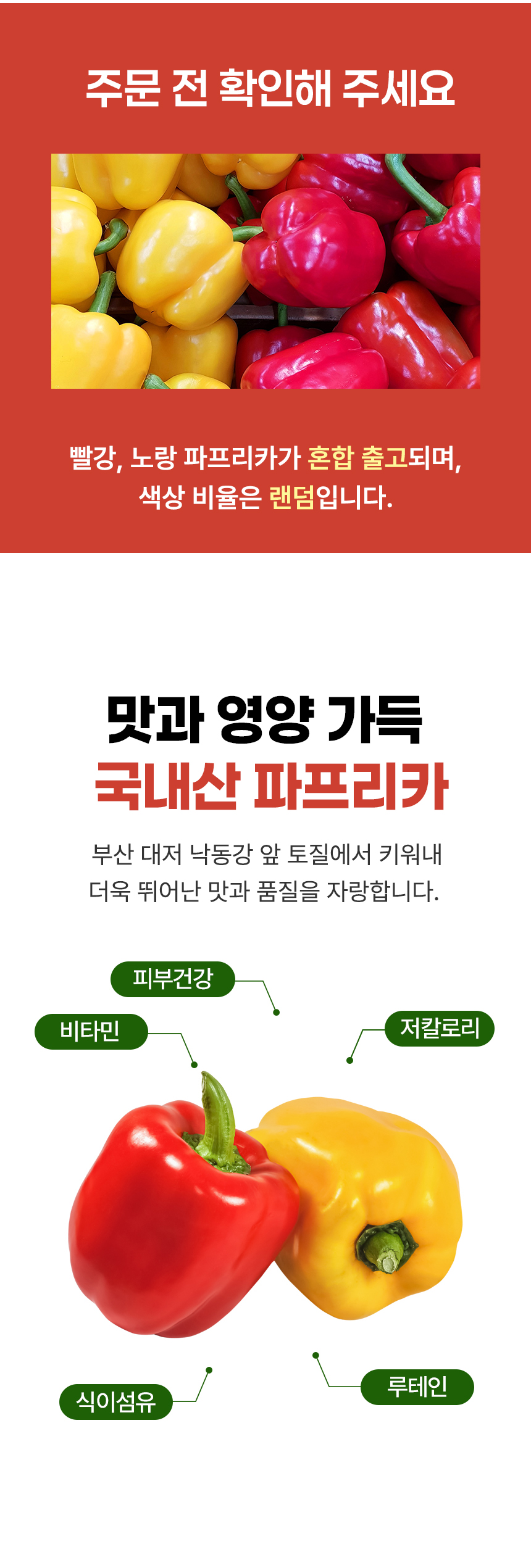 D_02.jpg