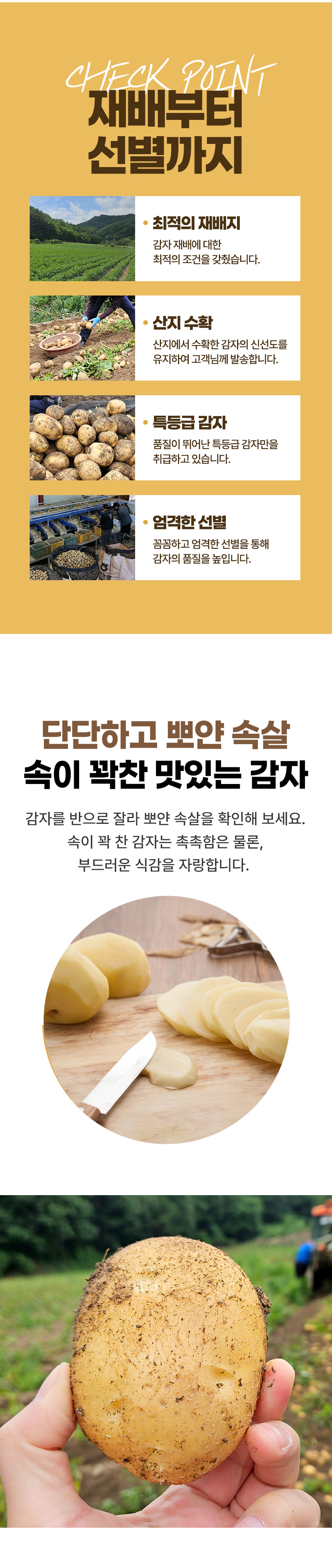 D_02.jpg