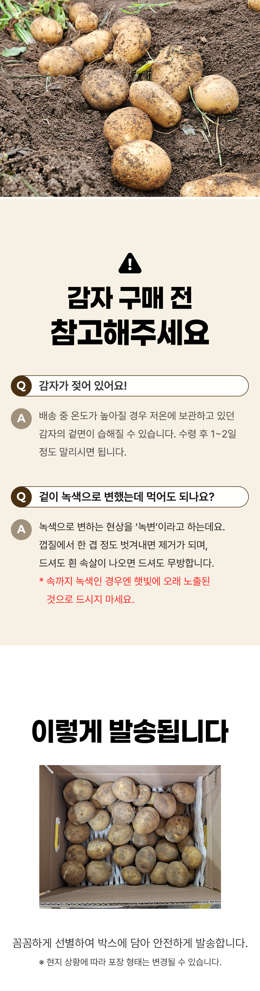D_05.jpg