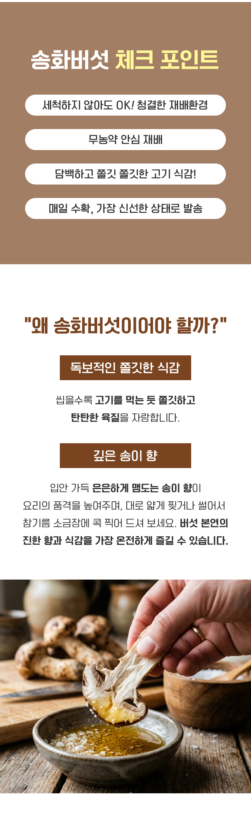 D_02.jpg
