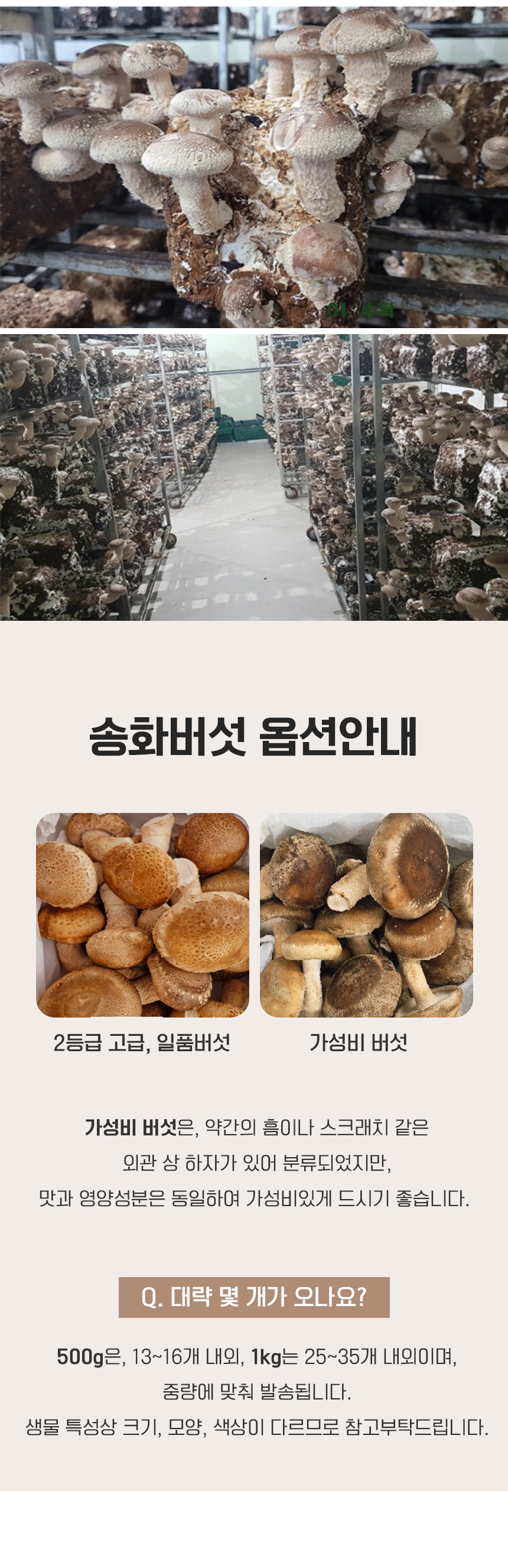 D_04.jpg