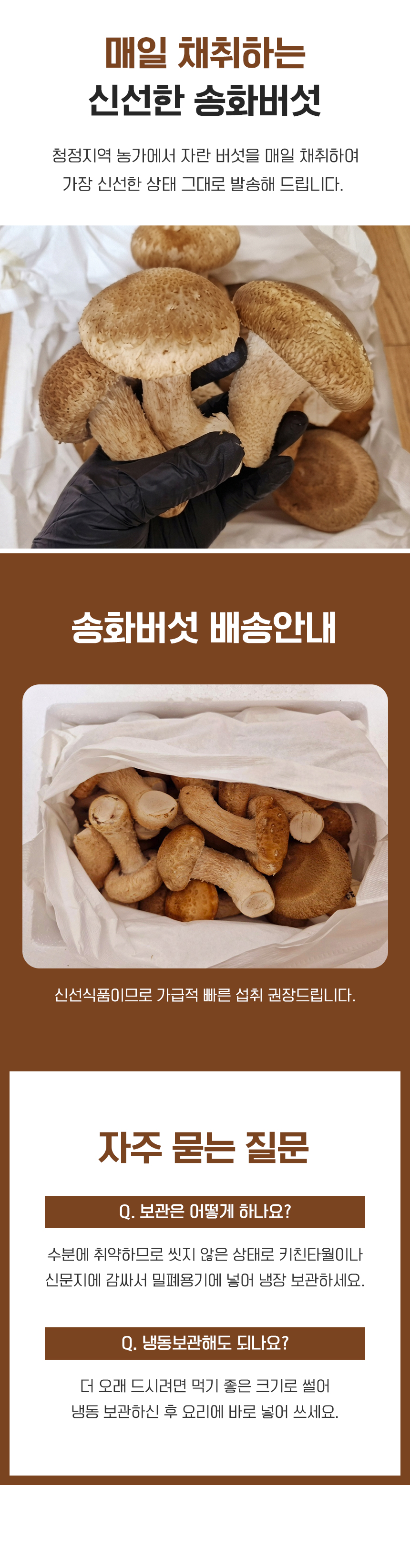 D_05.jpg