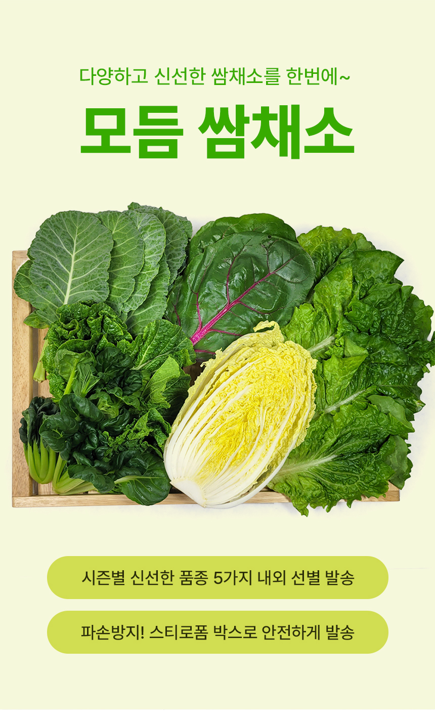 D_01.jpg