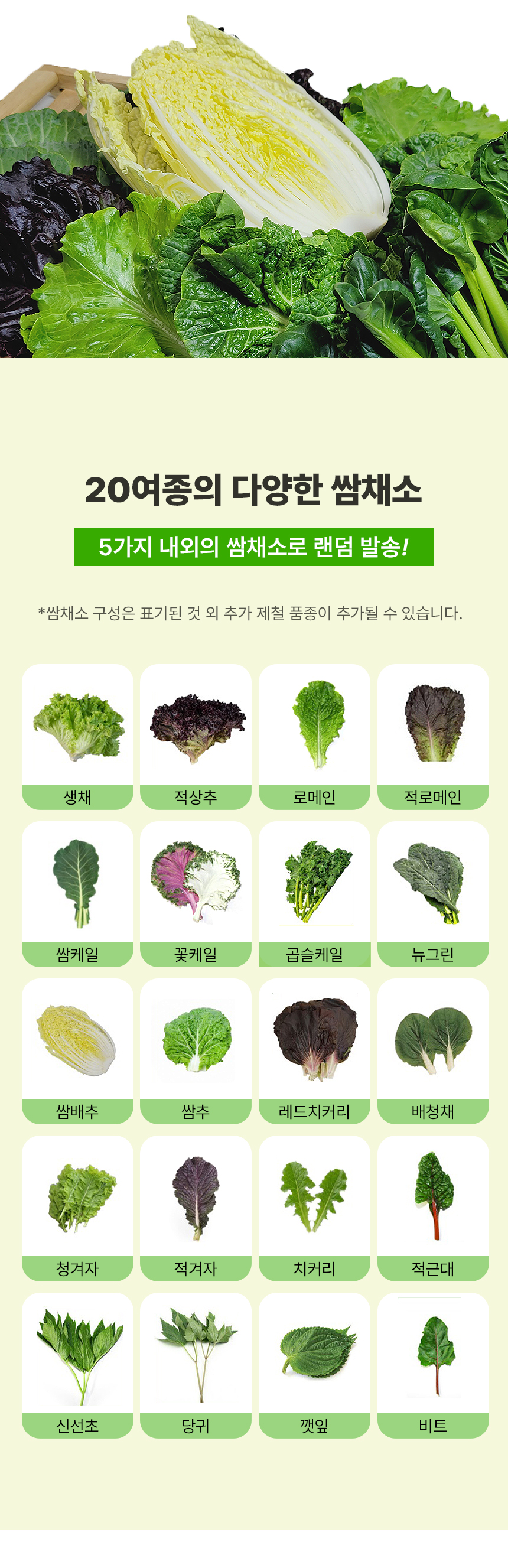 D_02.jpg