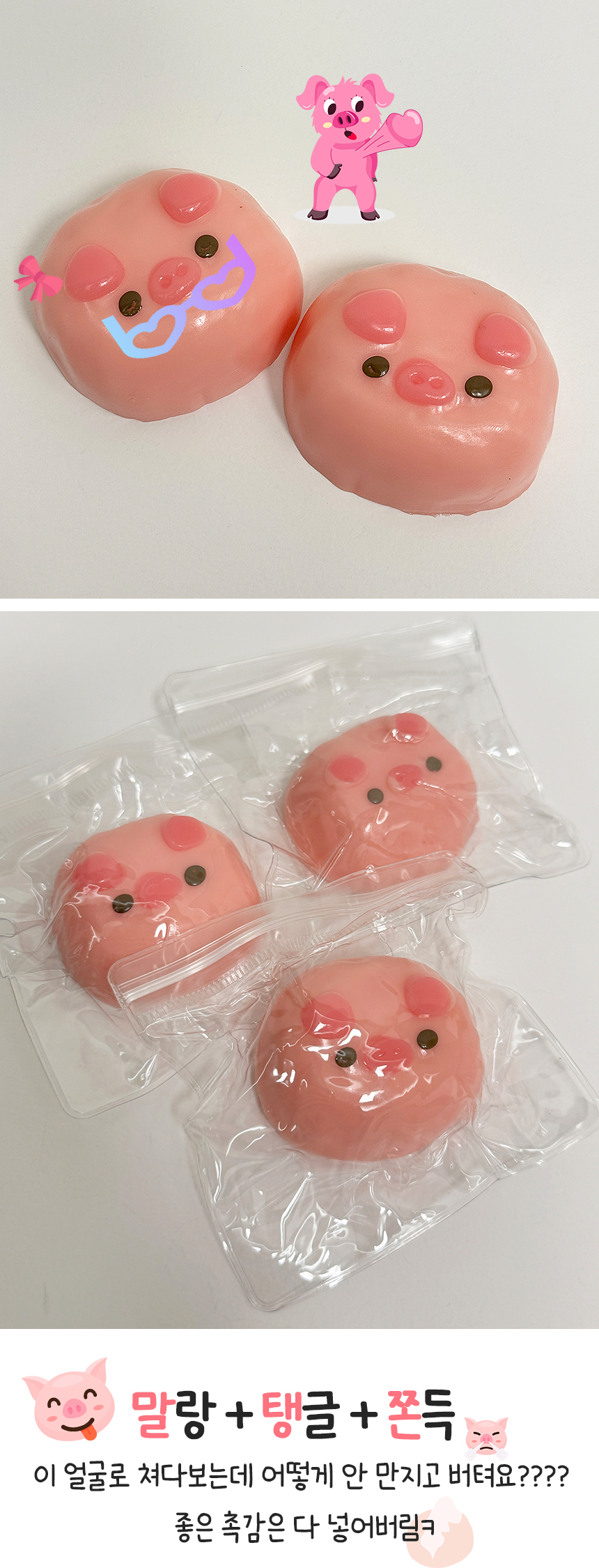 mochipig_3.jpg