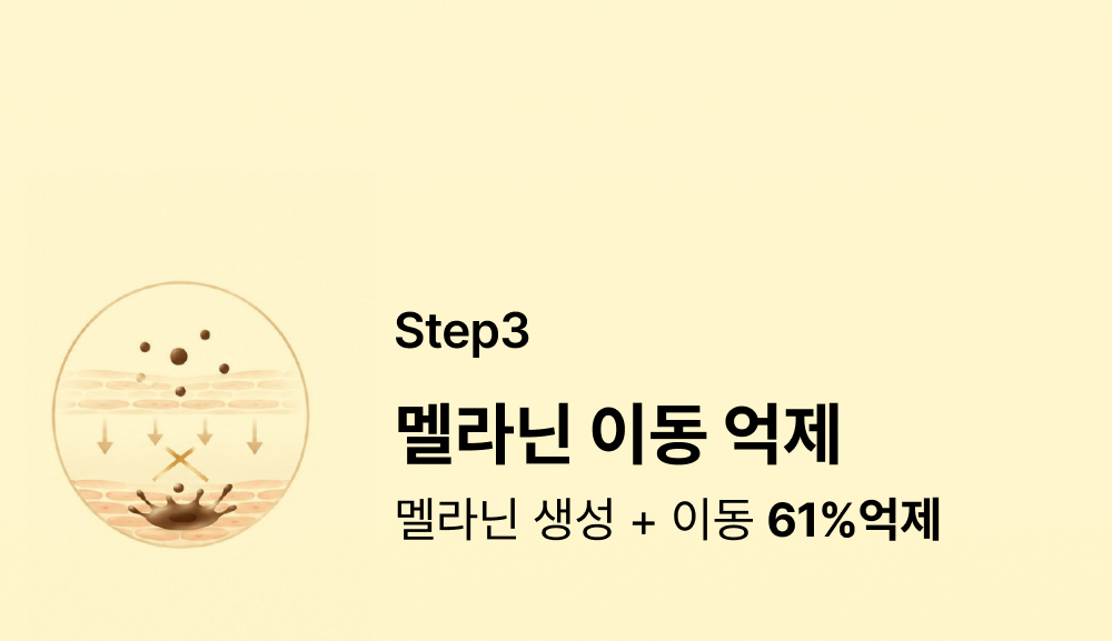 기미크림 트라넥삼산 7%