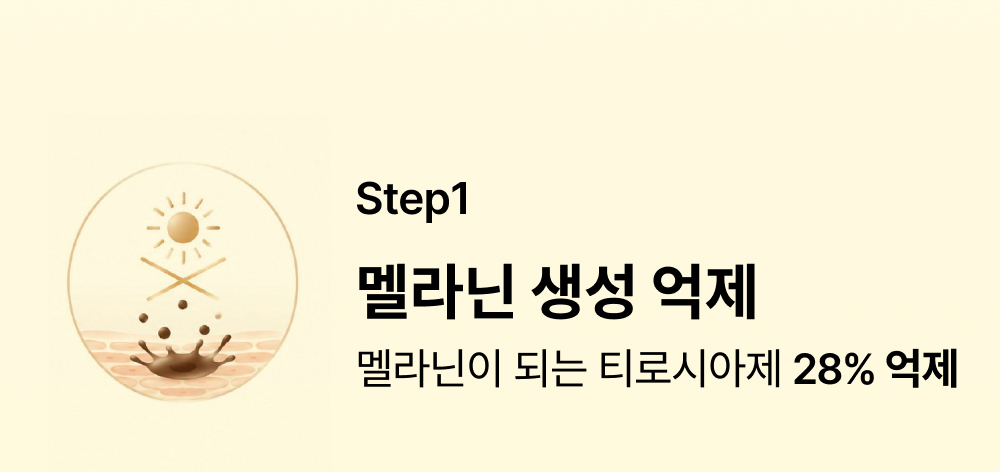 스킨화이트 미백 로션 100ml 화이트닝 에멀전 여름 기미 잡티
