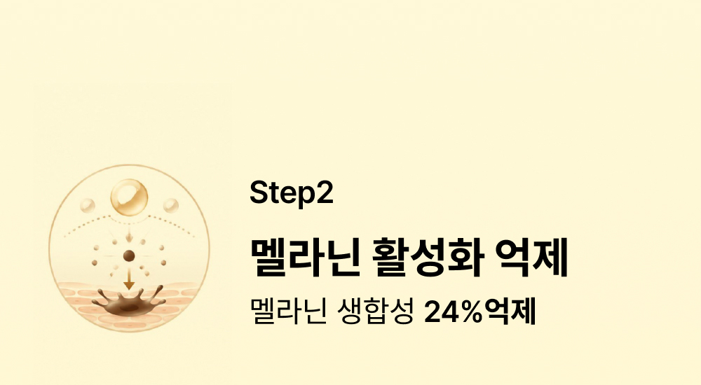 스킨화이트 미백 로션 100ml 화이트닝 에멀전 여름 기미 잡티