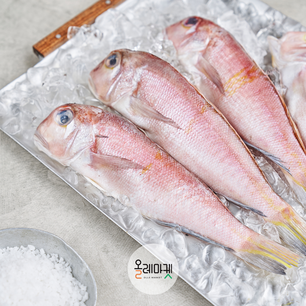 [제주] 통옥돔 (100g/120g) x 5미