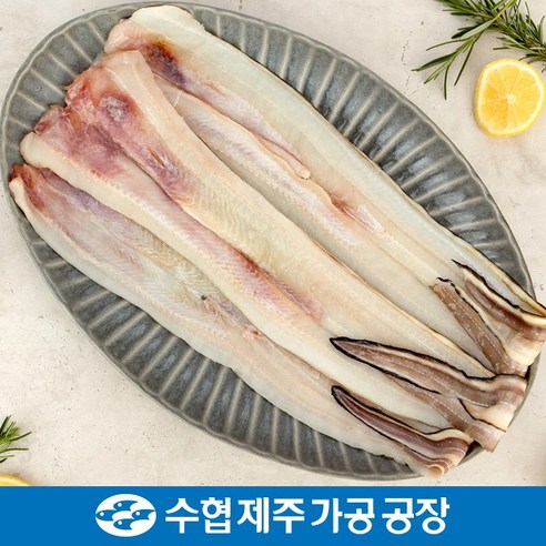 수협제주점 바다장어 1kg