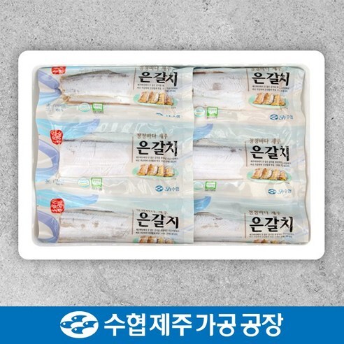 수협제주점 은갈치1호