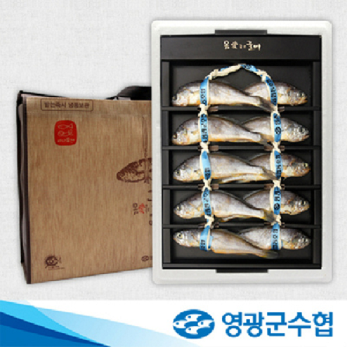 영광군수협 몸愛좋은굴비 오가(0.9kg)