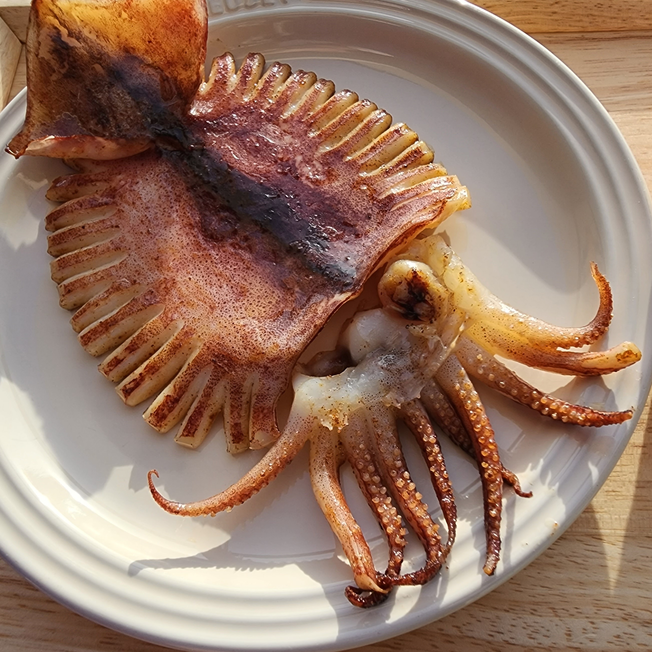 ☆법계수산 오동통 반건조 오징어골라담기☆