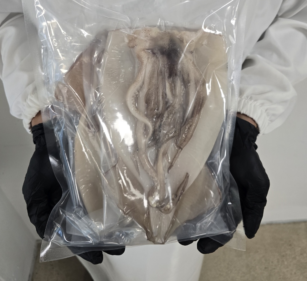 ☆손질 오징어 2미 골라담기☆