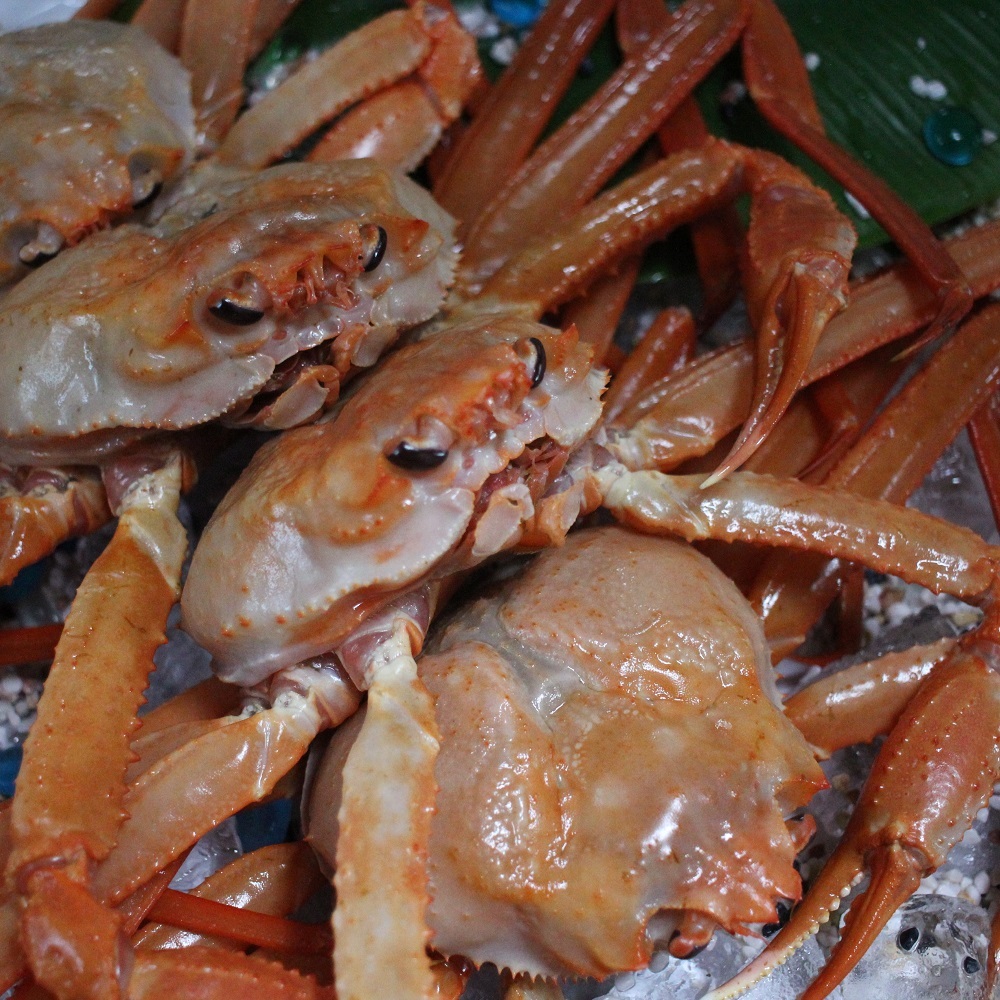 ☆법계수산 구룡포 홍게 골라담기☆2kg/3kg/4kg/5kg