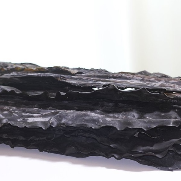 세계로수산 건다시마 1kg