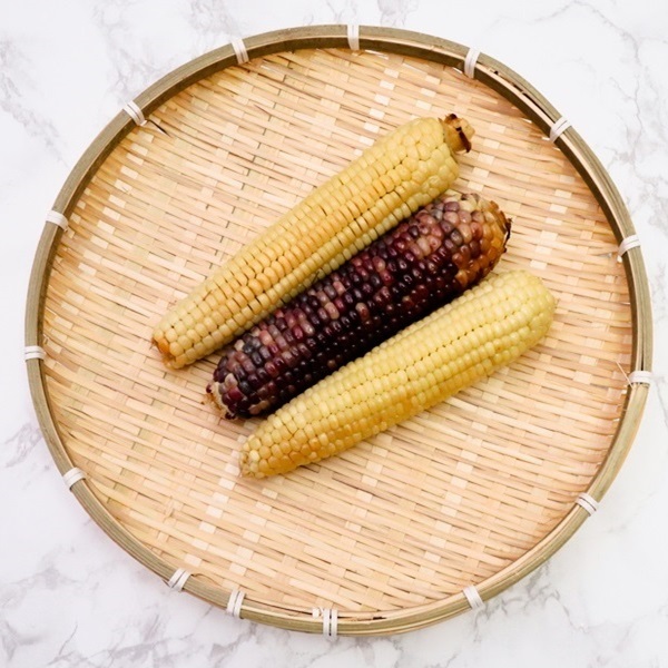 [청정태안] 쫀득한 군옥수수 5팩(1팩당 3개입/470g이상)