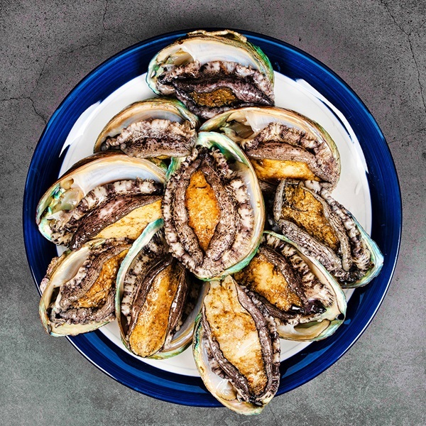 현탑수산 완도 활전복 2kg 16-18마리