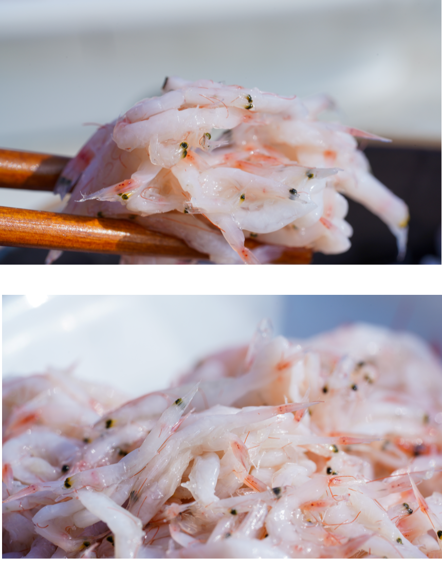 강화도 새우젓 상세 이미지 7