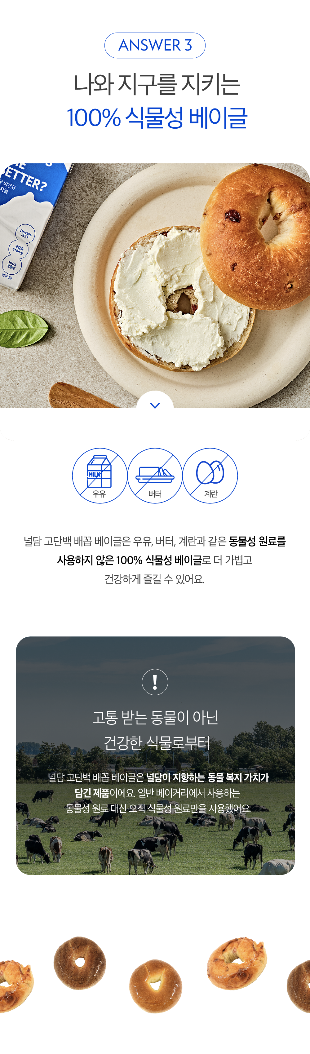 100% 식물성 베이글 제품 소개 및 특징 : ANSWER 3 나와 지구를 지키는 100% 식물성 베이글 우유 버터 계란 고통 받는 동물이 아닌 건강한 식물로부터