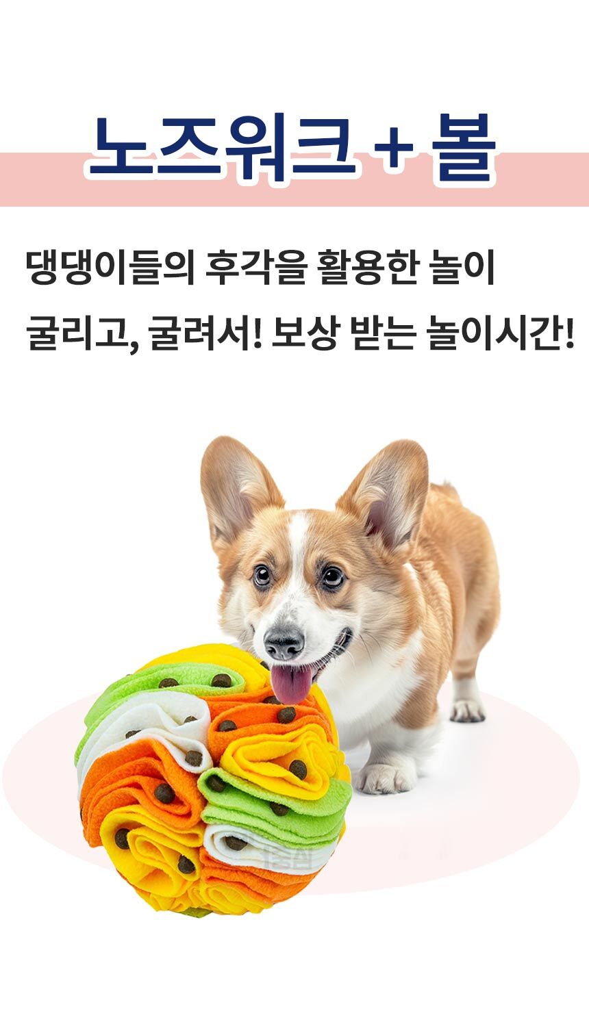 1_03.jpg