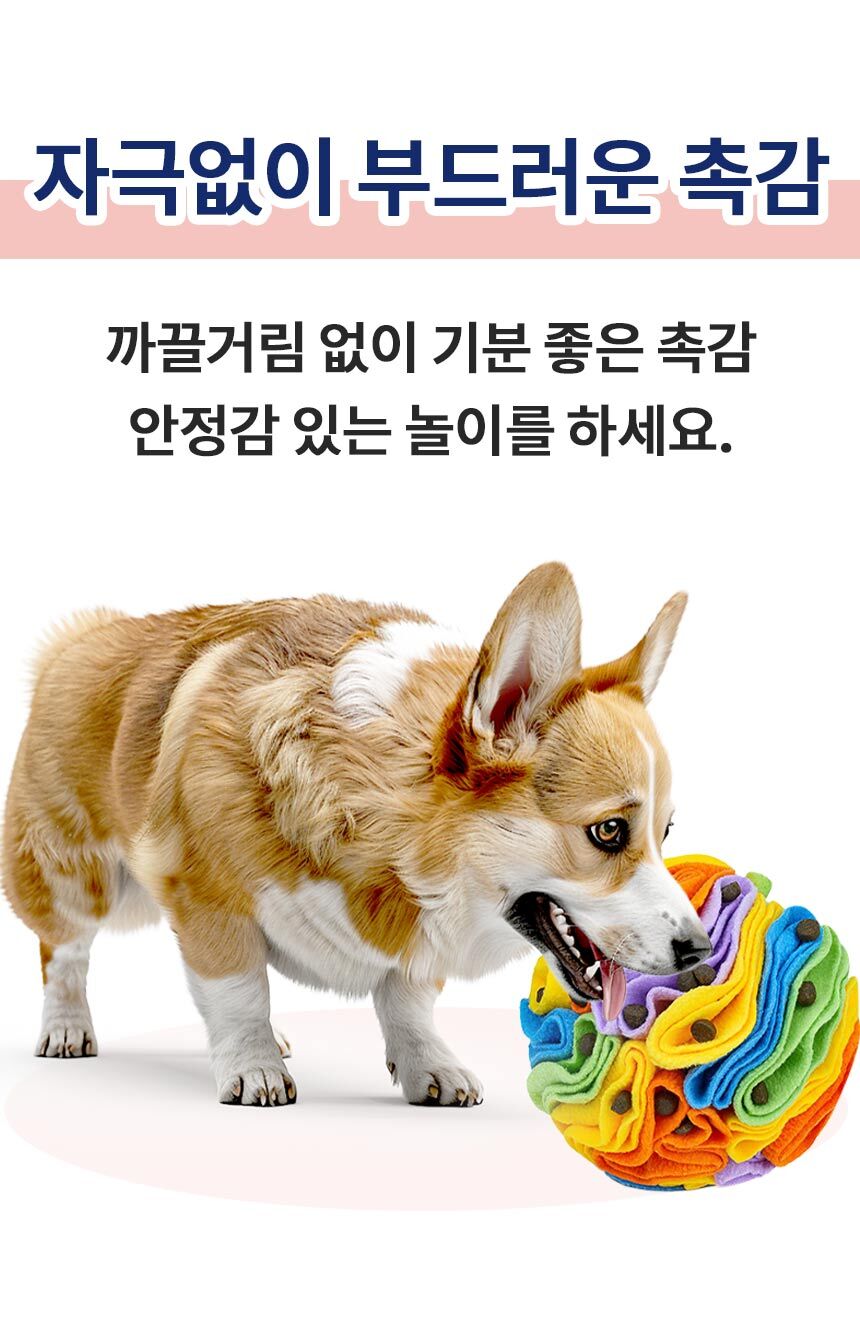 1_04.jpg