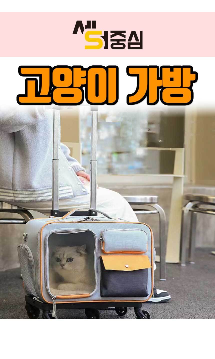 1-01.jpg