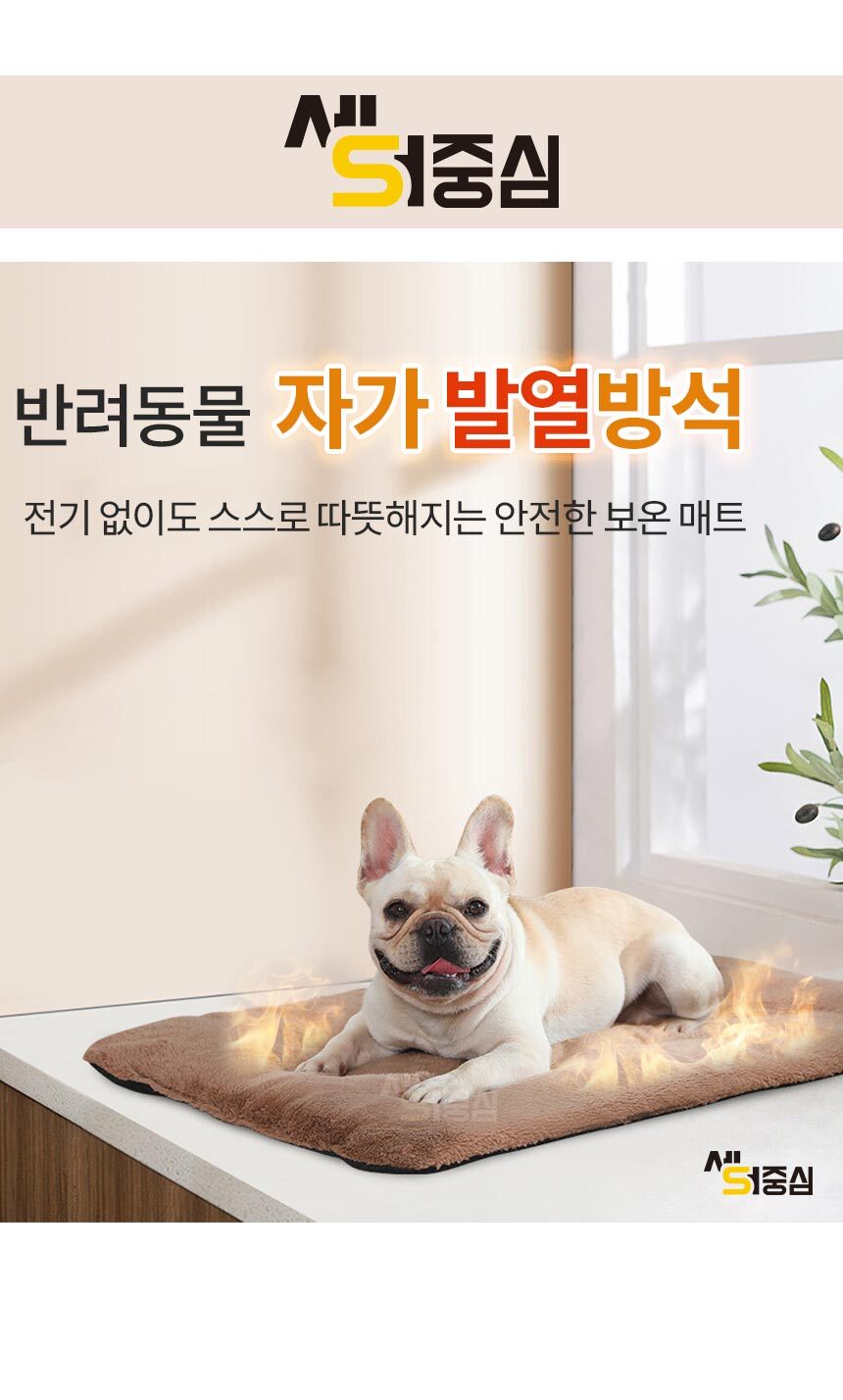 1_01.jpg