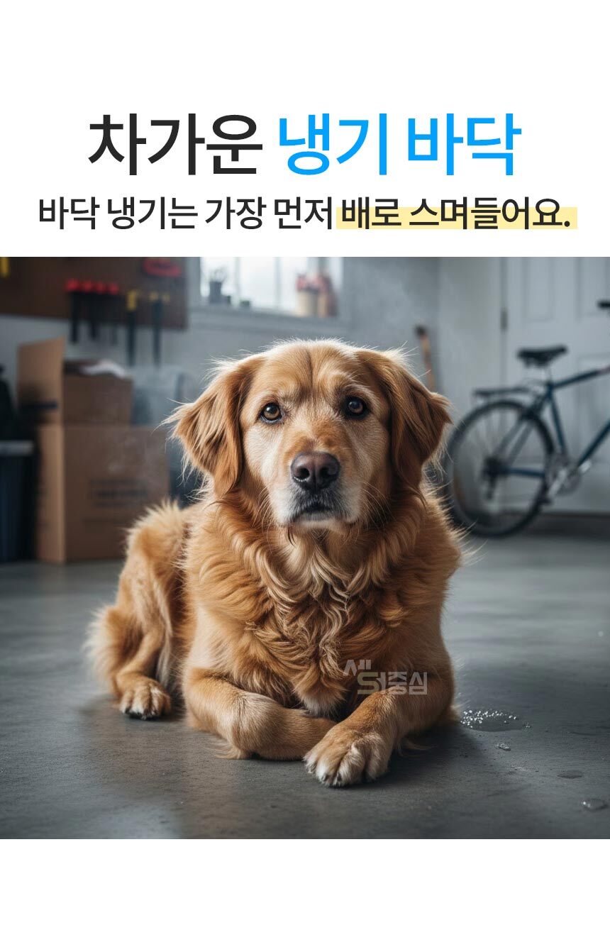 1_02.jpg
