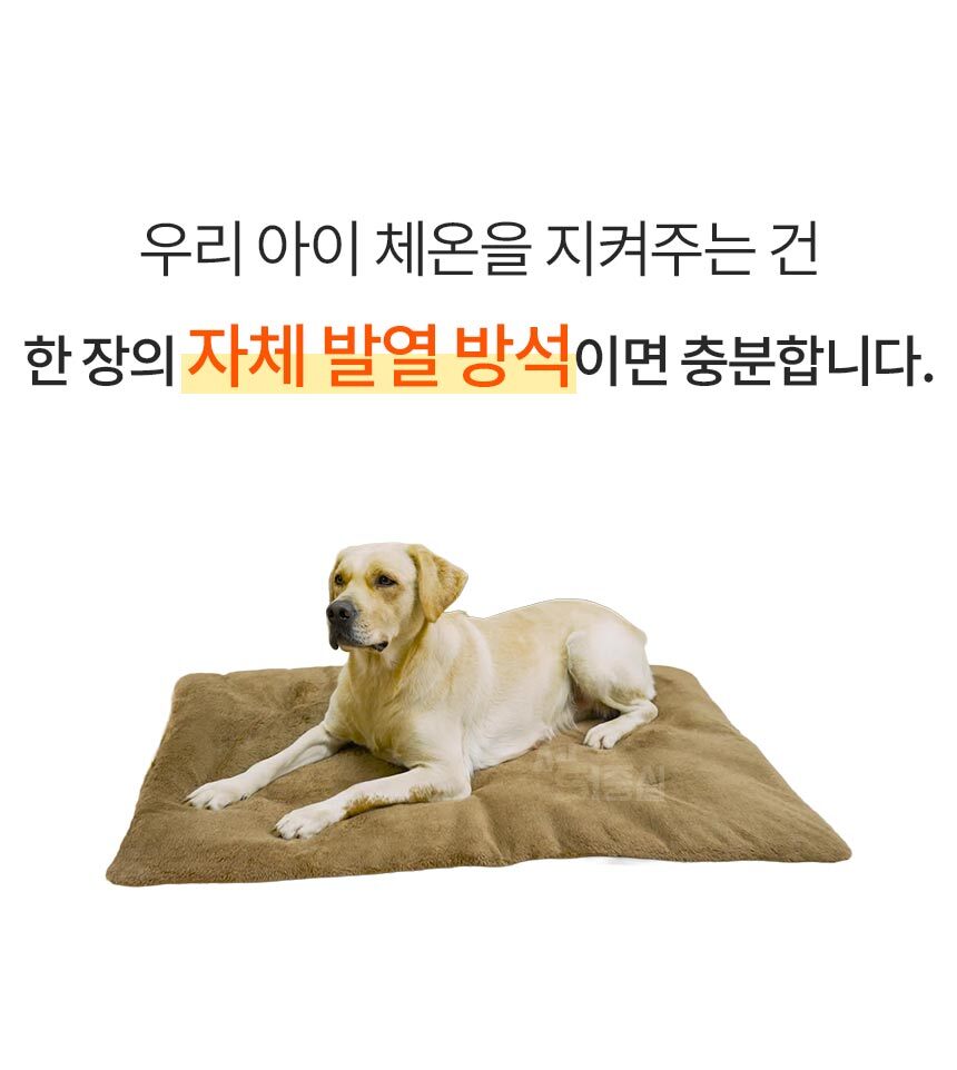 1_03.jpg
