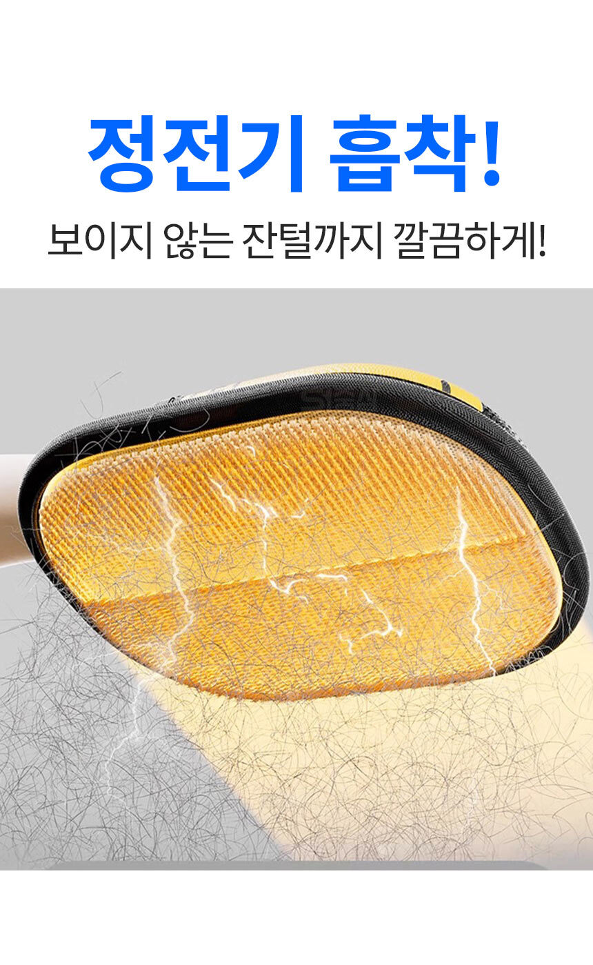 1_07.jpg