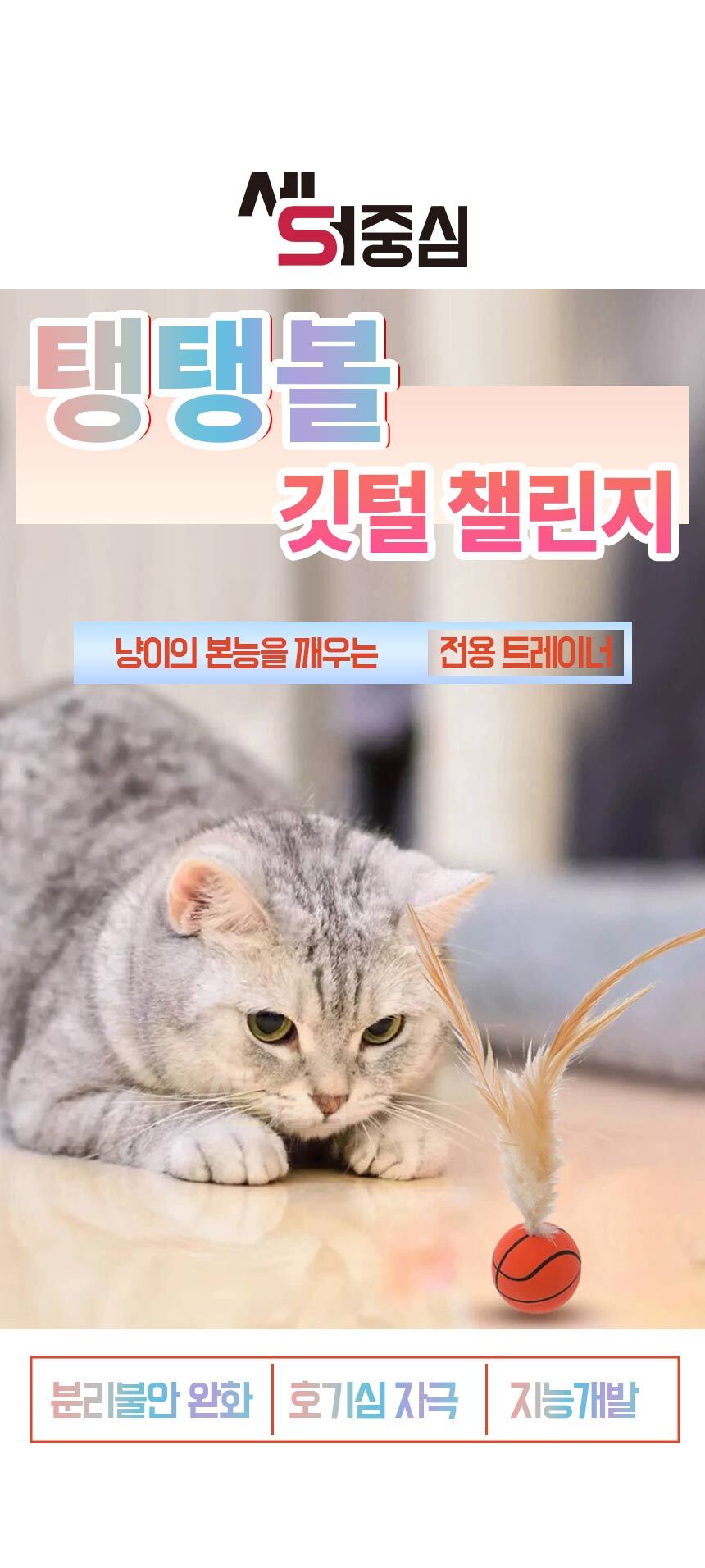 1_01.jpg