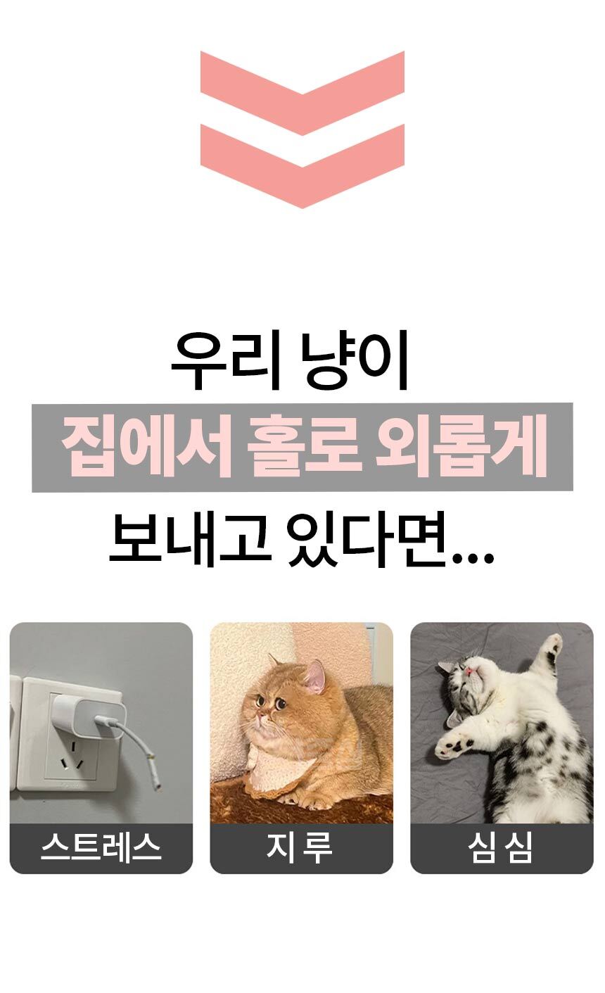 1_02.jpg